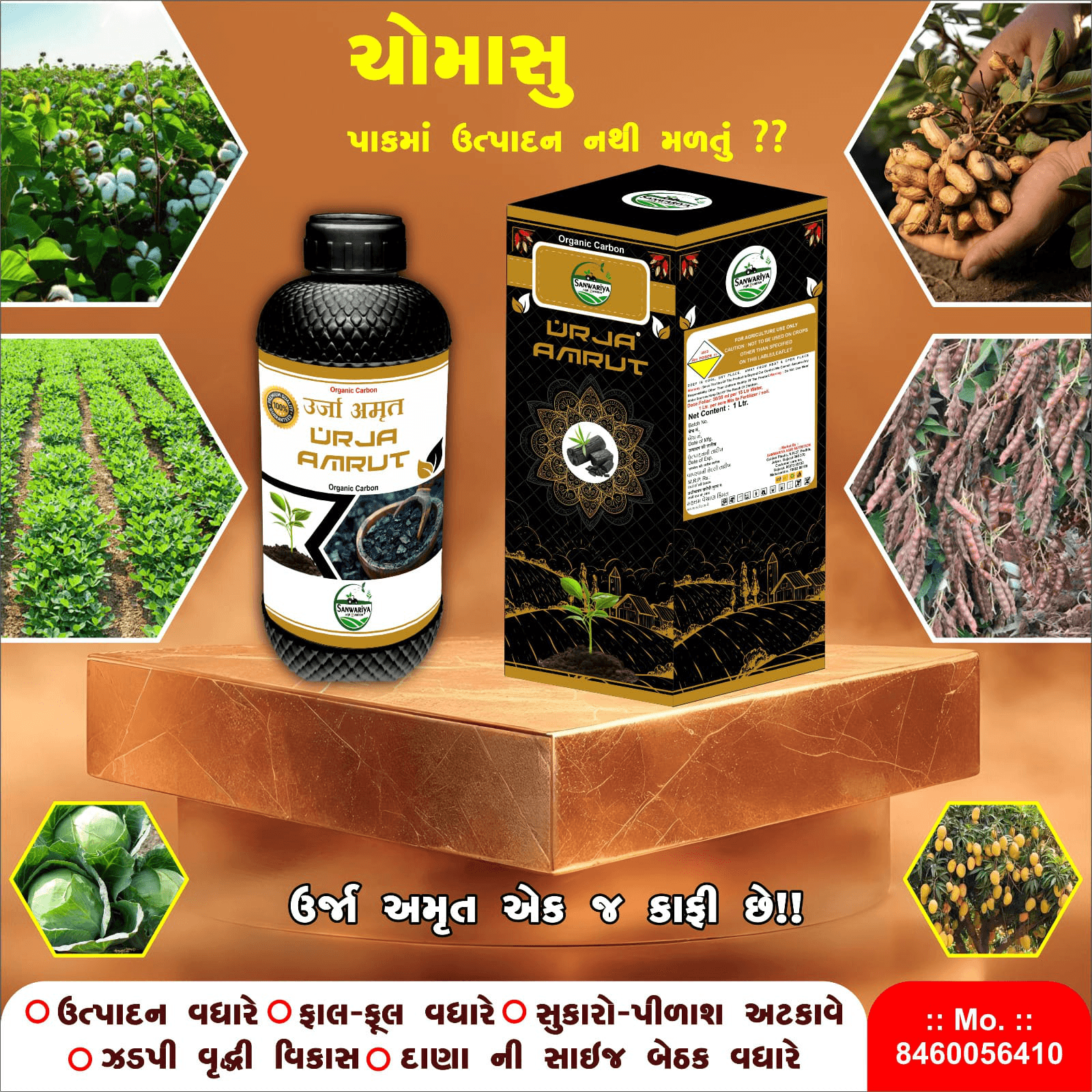 રાણી RANI - Thumbnail 3
